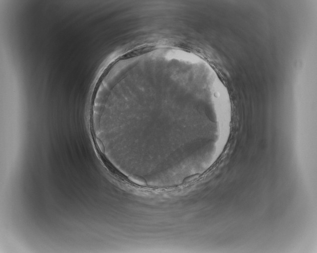 X0000111020003200907310941
