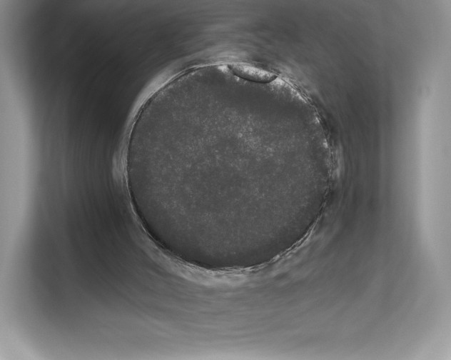 X0000111020004200907310941
