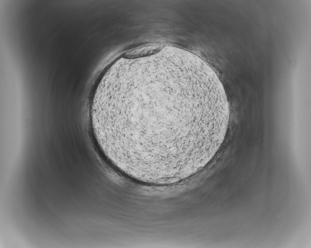 X0000111020005200907310941