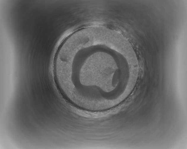 X0000111020006200907310941