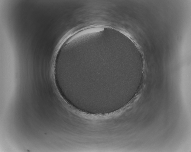 X0000111020007200907310941