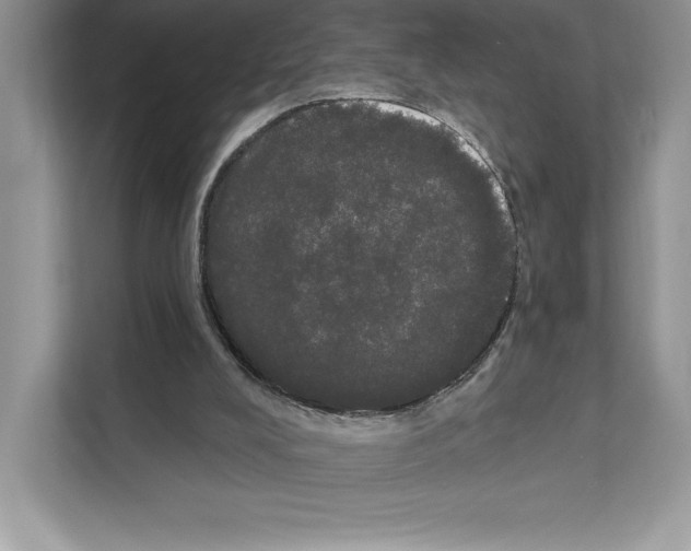 X0000111020008200907310941
