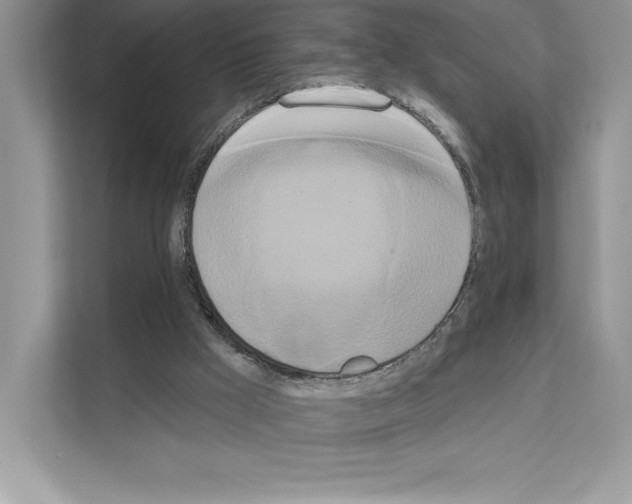 X0000111020009200907310941