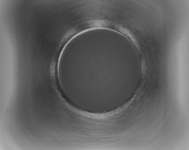 X0000111020010200907310941