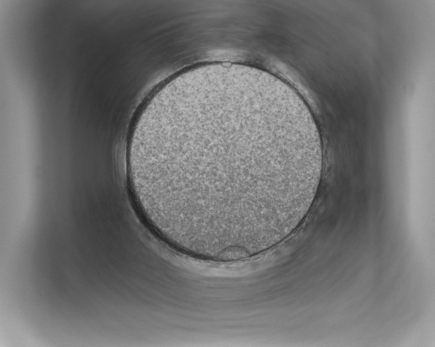 X0000111020011200907310941