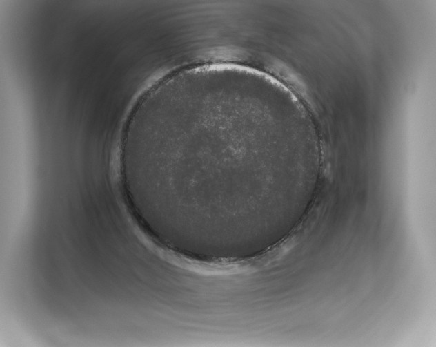 X0000111020012200907310941