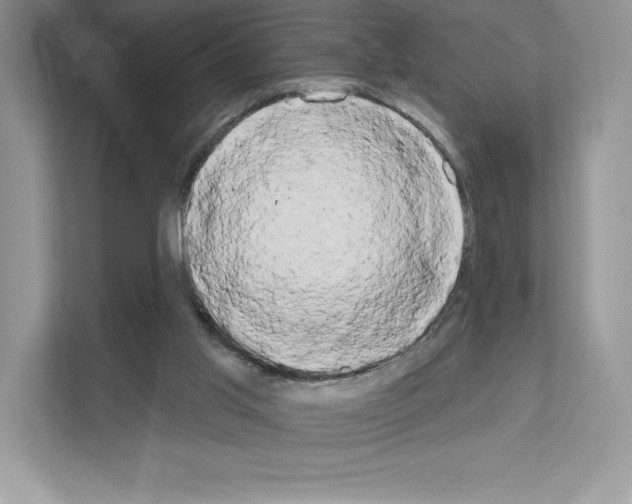 X0000111020013200907310941