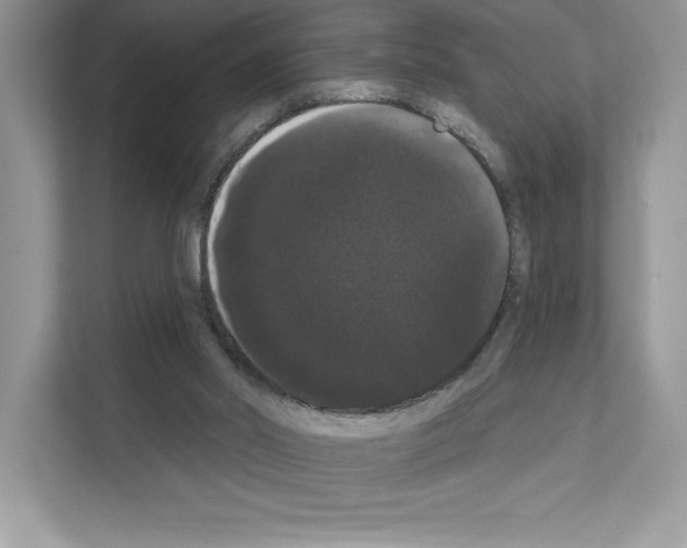 X0000111020014200907310941