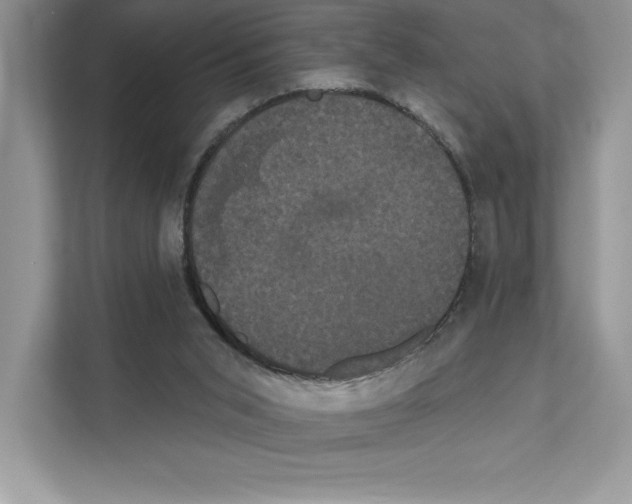 X0000111020015200907310941