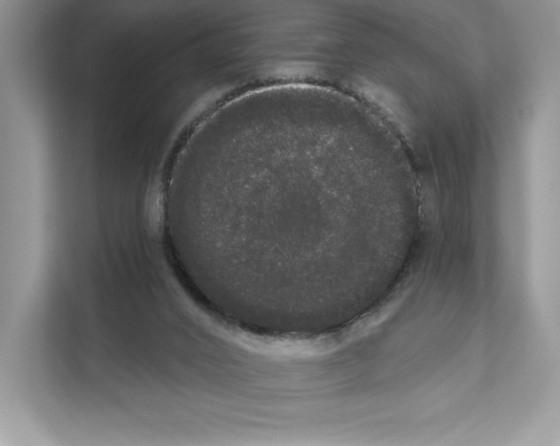 X0000111020016200907310941