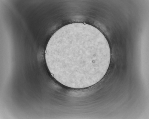 X0000111020017200907310941