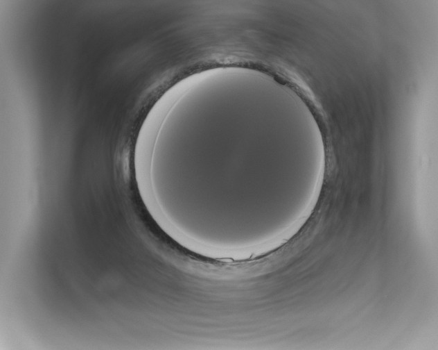X0000111020019200907310941