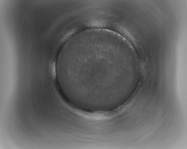 X0000111020020200907310941