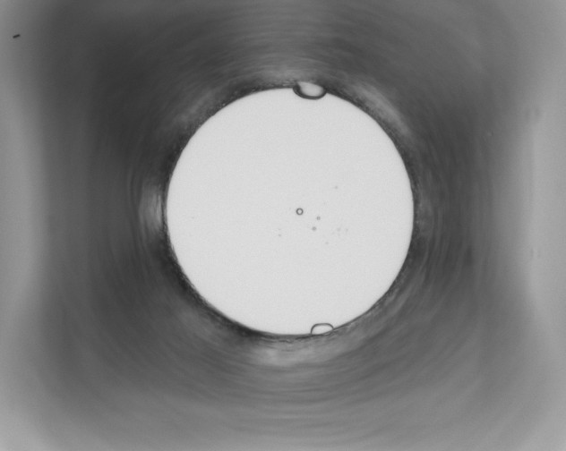 X0000111020021200907310941