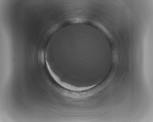 X0000111020022200907310941