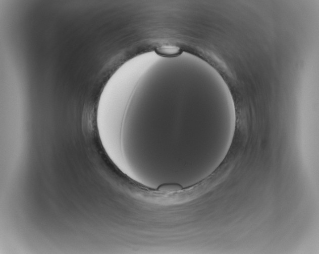 X0000111020023200907310941