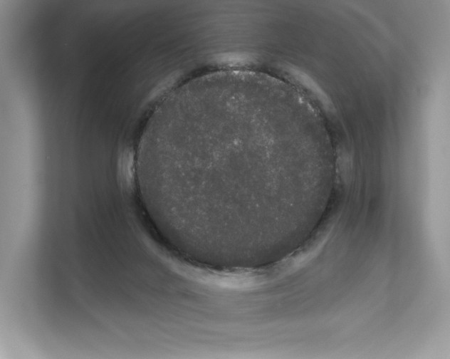 X0000111020024200907310941
