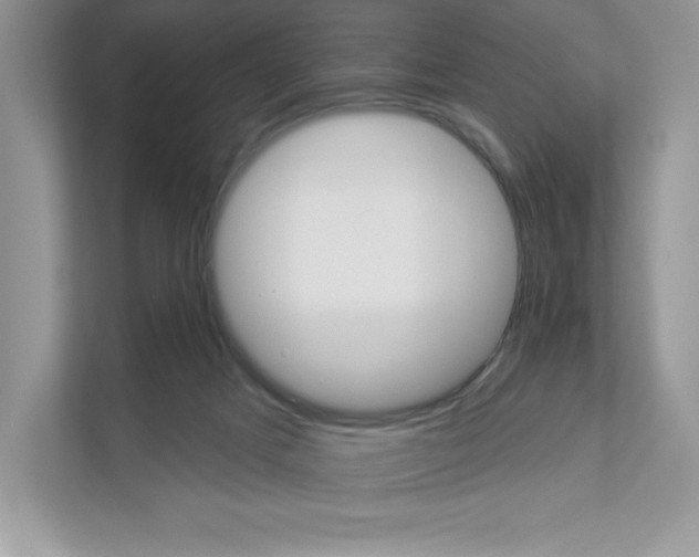 X0000111020025200907310941