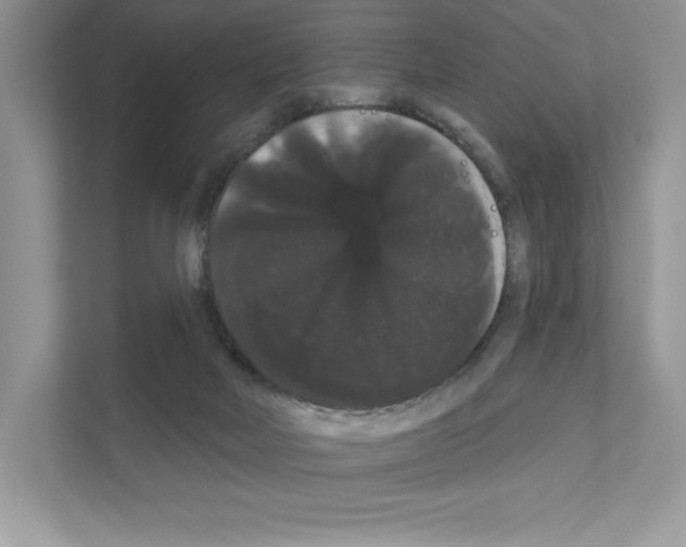 X0000111020026200907310941