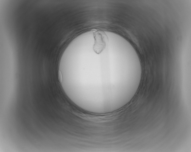 X0000111020027200907310941