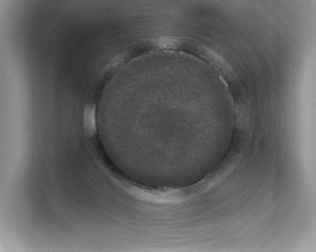 X0000111020028200907310941