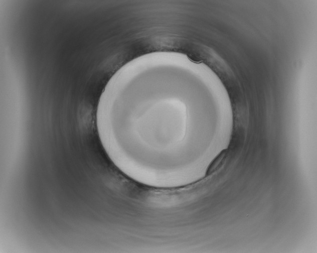 X0000111020029200907310941