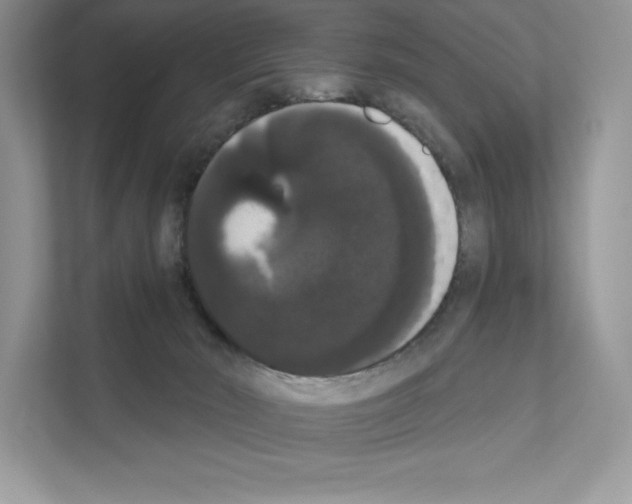 X0000111020030200907310941