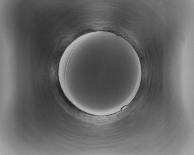 X0000111020031200907310941