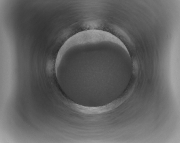 X0000111020034200907310941