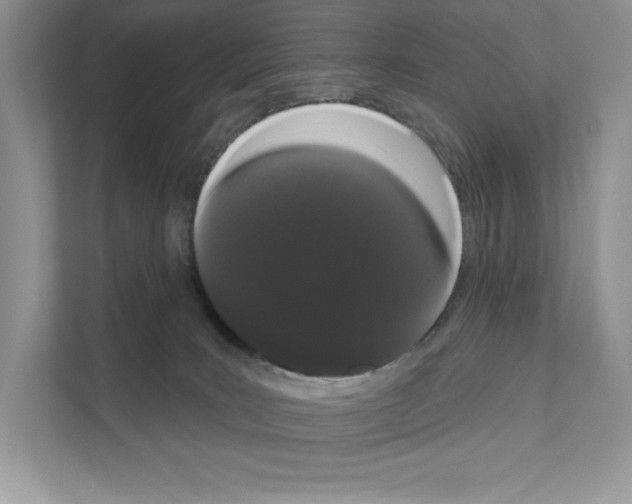X0000111020035200907310941