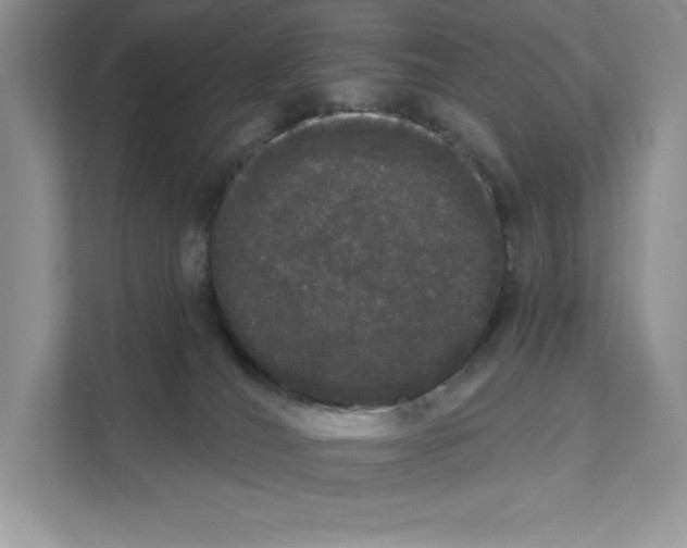 X0000111020036200907310941