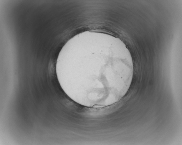 X0000111020037200907310941