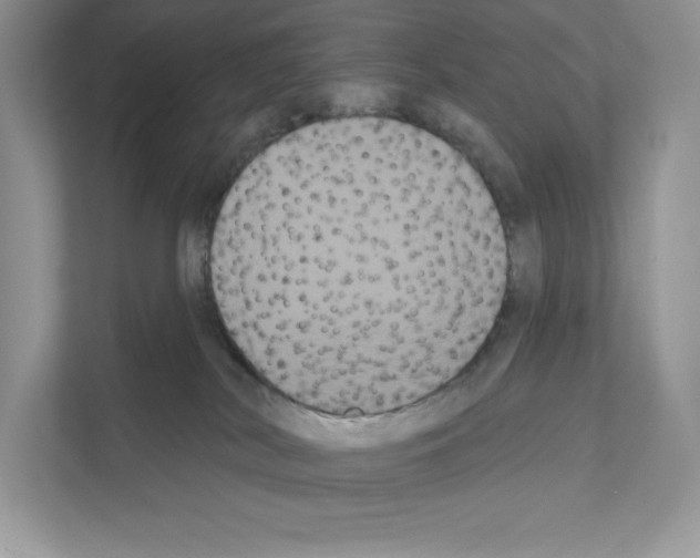 X0000111020038200907310941