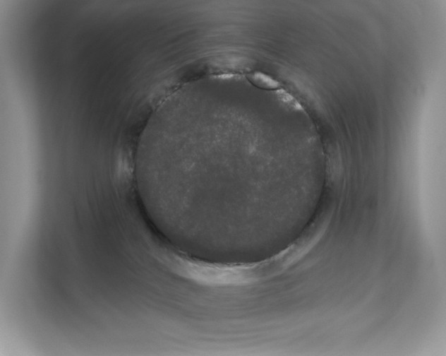 X0000111020040200907310941