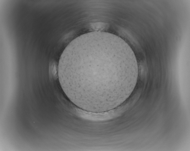 X0000111020042200907310941