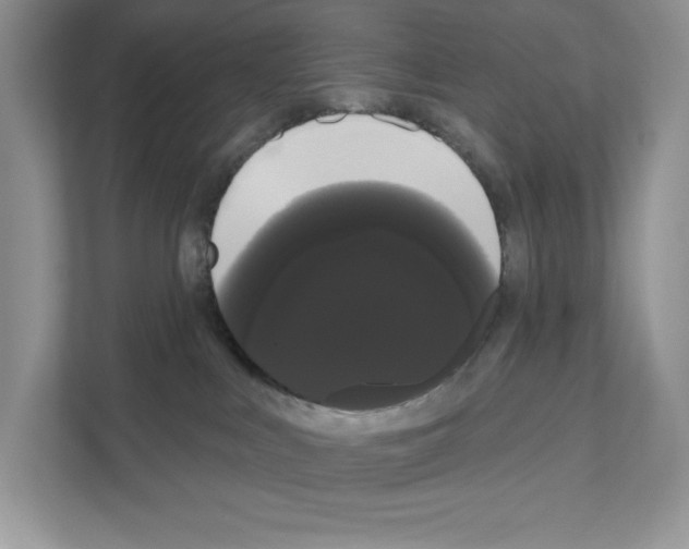 X0000111020043200907310941