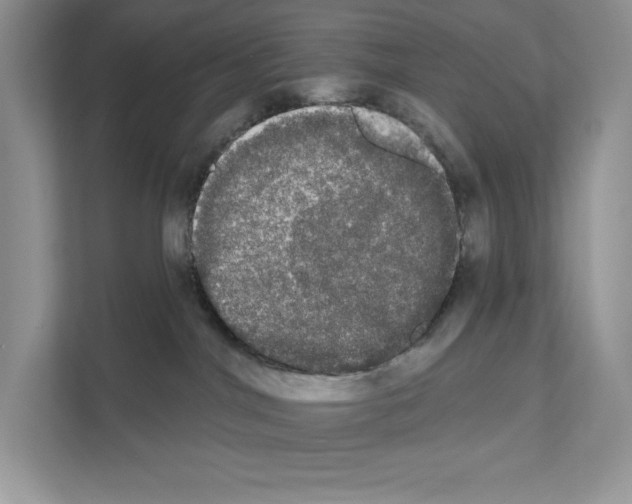 X0000111020044200907310941