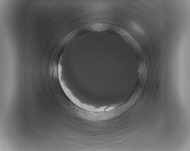 X0000111020046200907310940