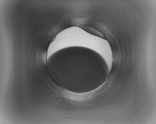X0000111020047200907310940