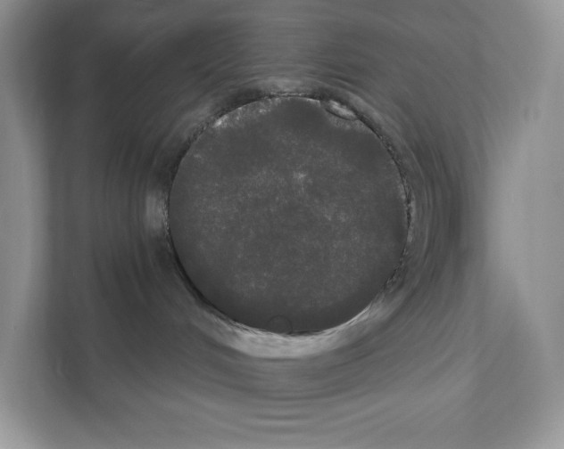 X0000111020048200907310940