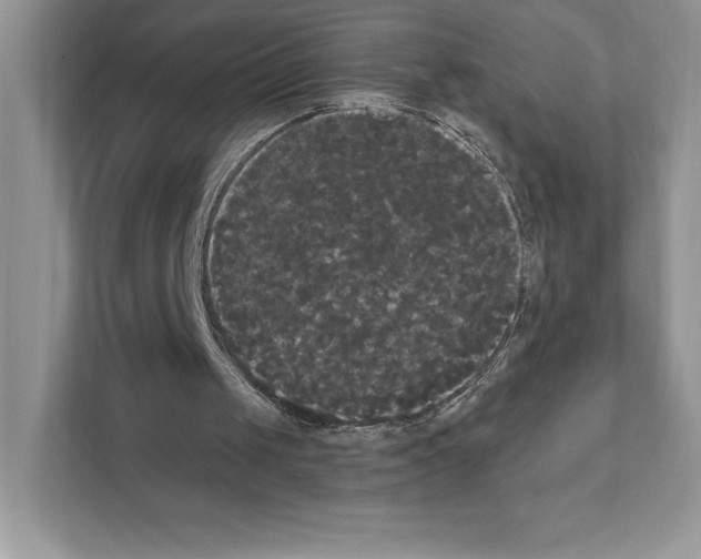 X0000111020049200907310940