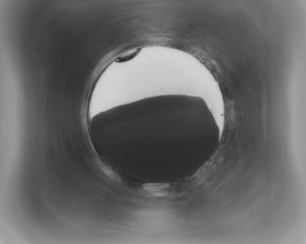 X0000111020051200907310940