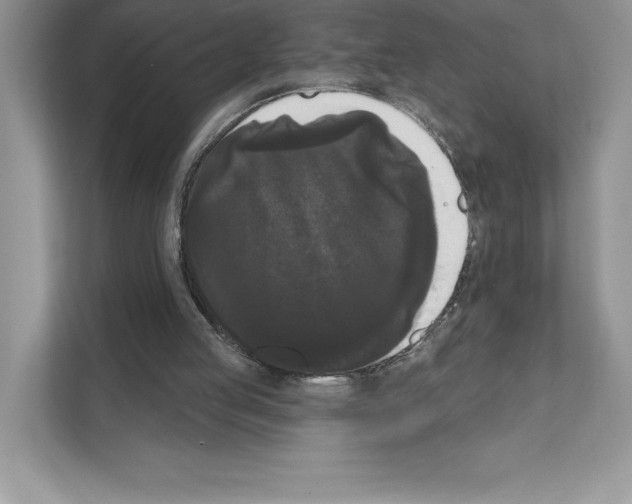 X0000111020053200907310940