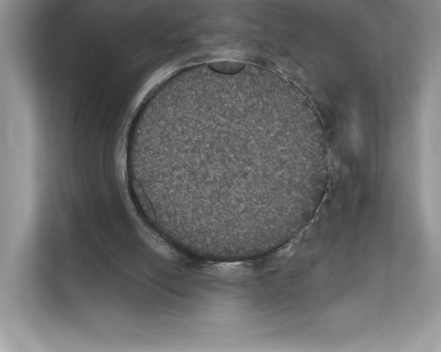 X0000111020054200907310940