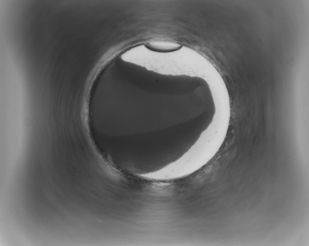 X0000111020055200907310940