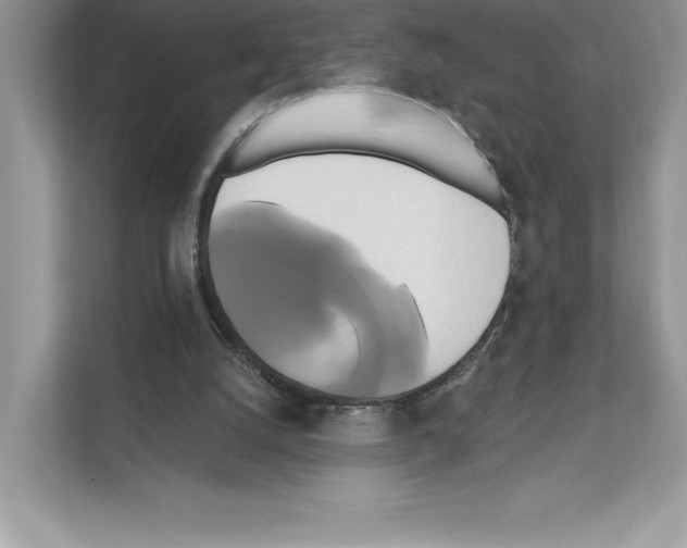 X0000111020056200907310940