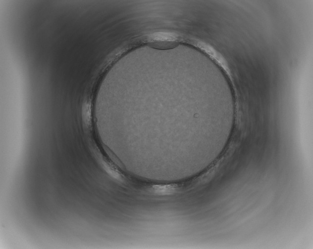 X0000111020057200907310940