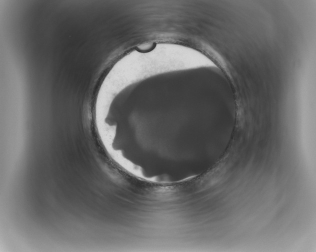 X0000111020059200907310940