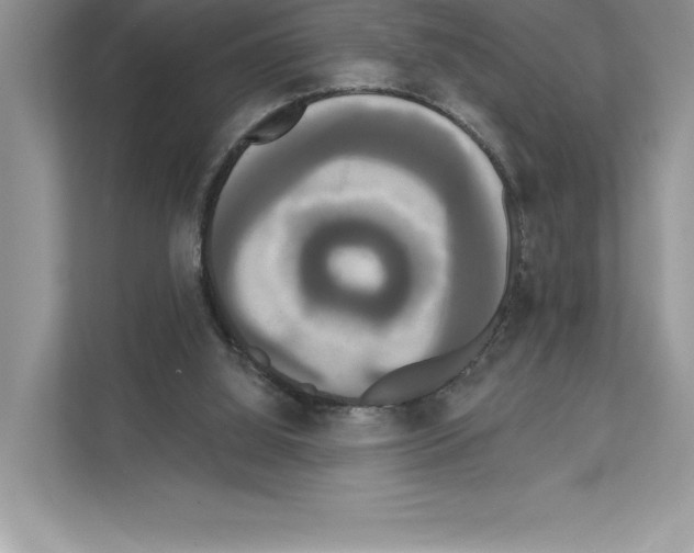 X0000111020060200907310940