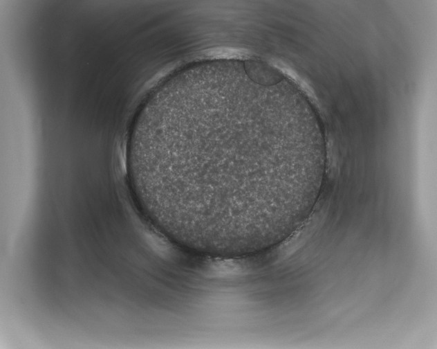 X0000111020062200907310940